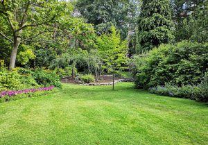 Optimiser l'expérience du jardin à Etampes